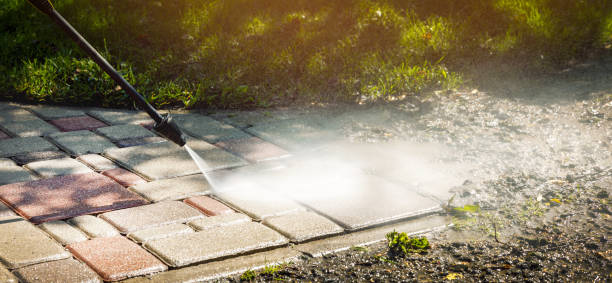 Best Animal Enclosure Cleaning  in Banner Elk, NC